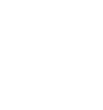 The Summer Berry Company