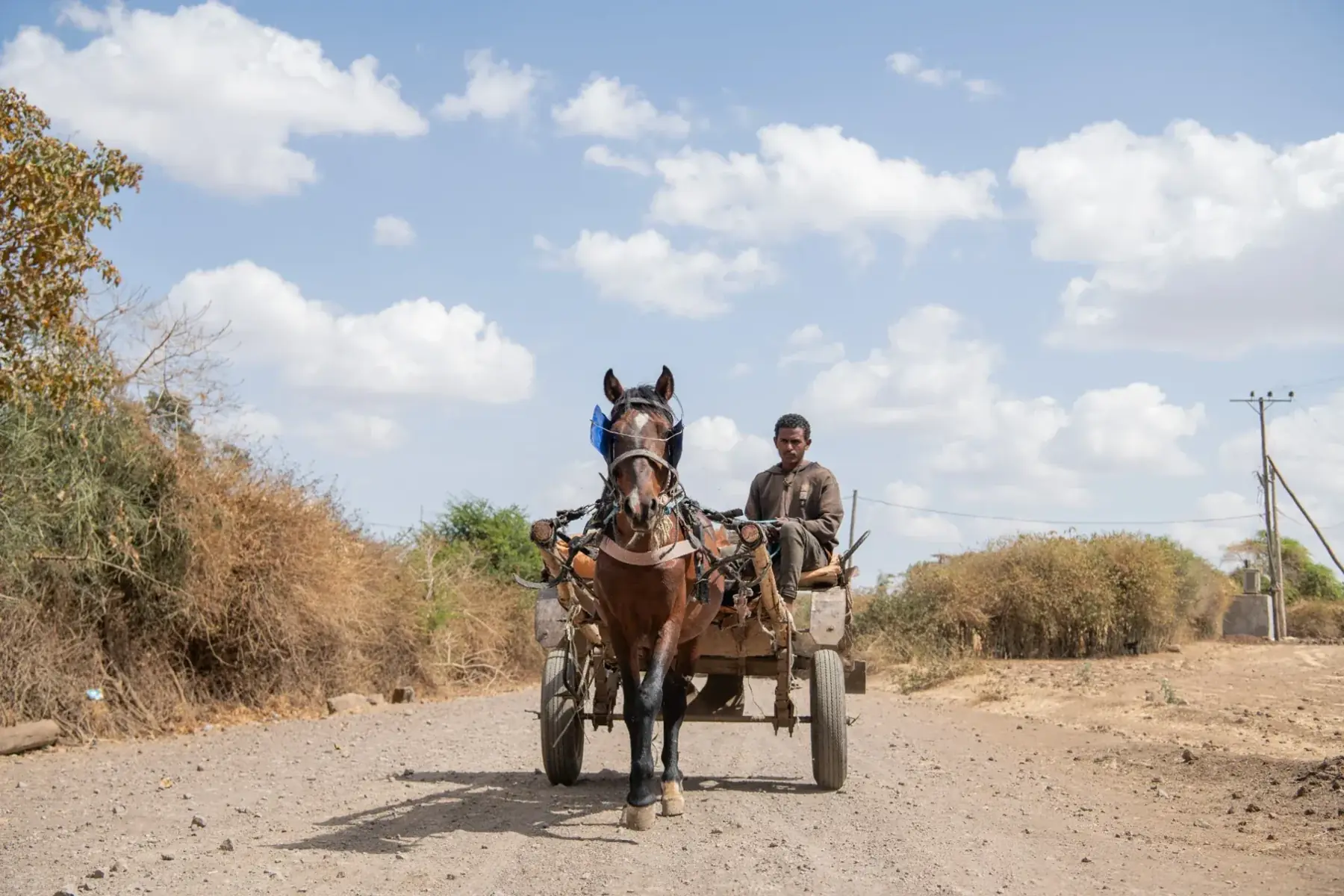 A horse pulls a cart along a rural road