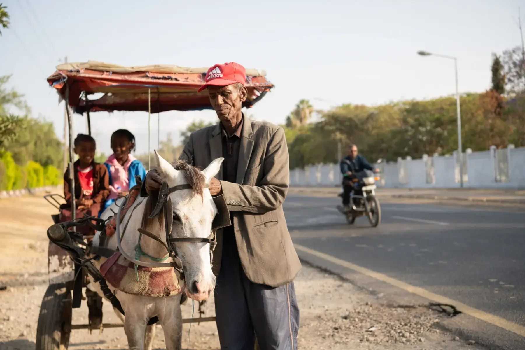 A handler stands beside a horse harnessed to a passenger cart